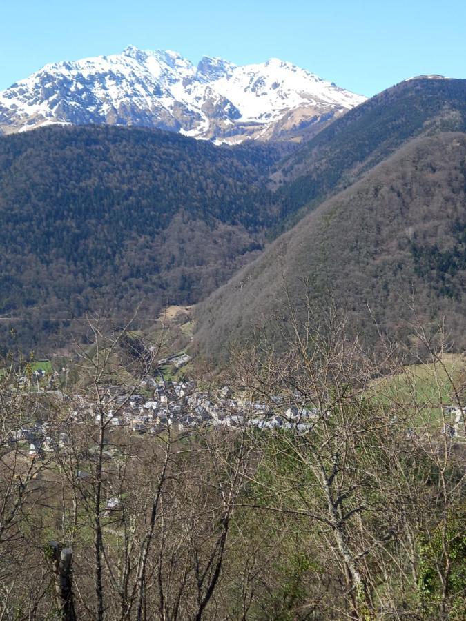 Appartement 2 à 4 personnes le Pyrénéen à Arreau carrefour des activités de montagne Exterior foto